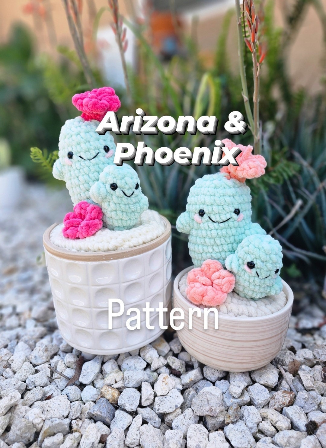 Cactus Succulent | CROCHET PATTERN | Low Sew | Instant Download PDF | Arizona & Phoenix