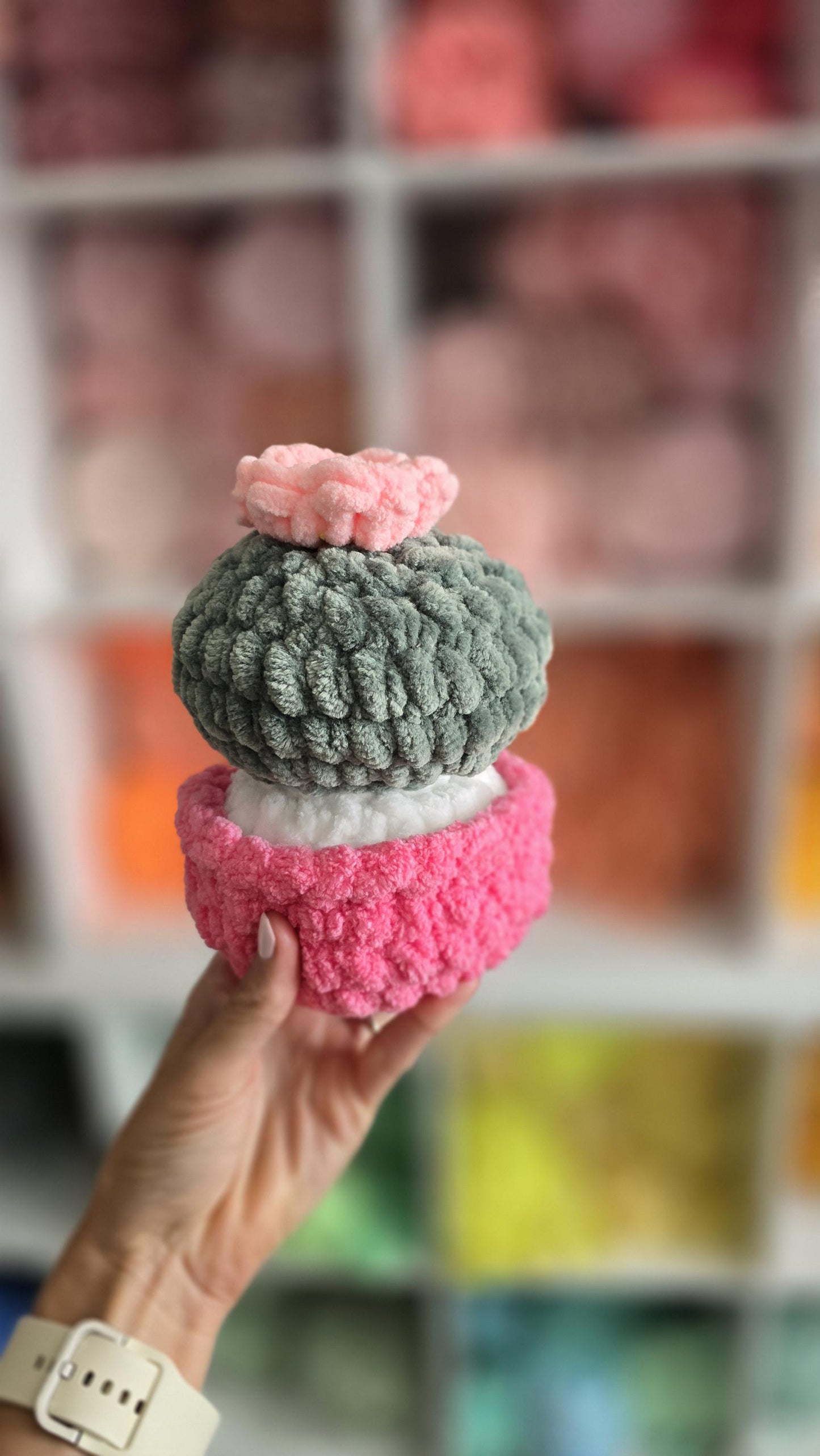 No Sew Crochet Pattern: Barrel Cactus Bundle, Succulents