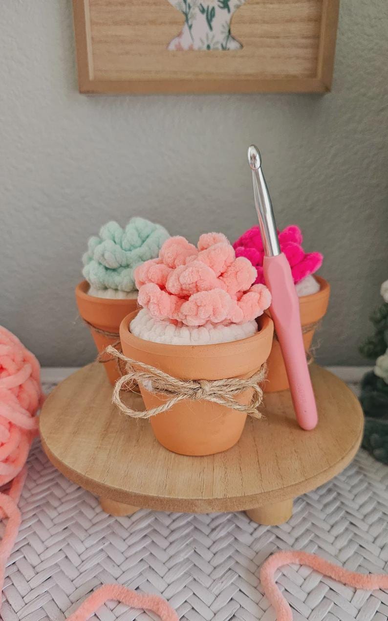 No-Sew Crochet Pattern: Cactus, Aloe Vera, Barrel Cactus and Succulents