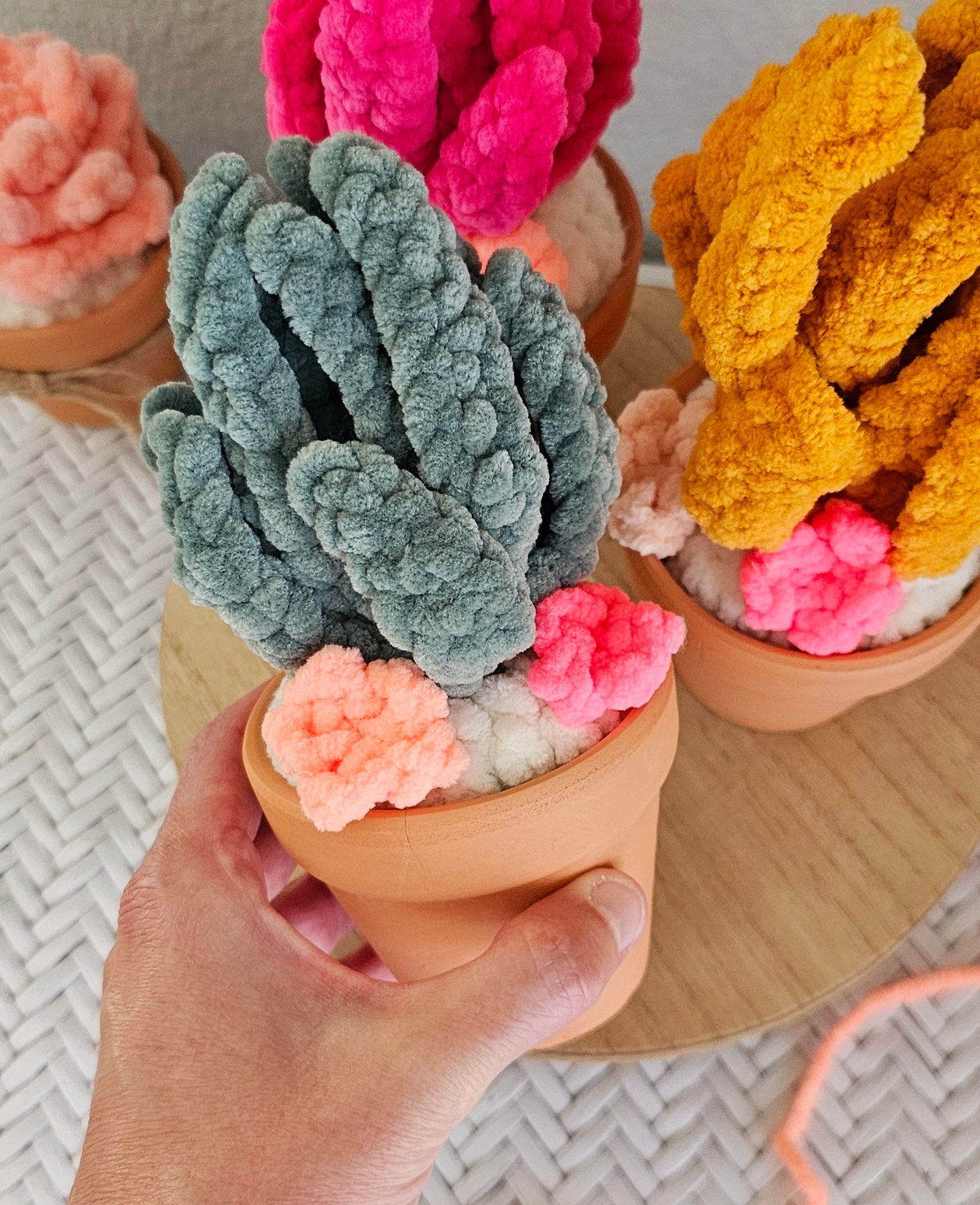 Cactus Plant Crochet Pattern, Low Sew, Aloe Vera, Decor, PDF Download, KnotsMerryYarn