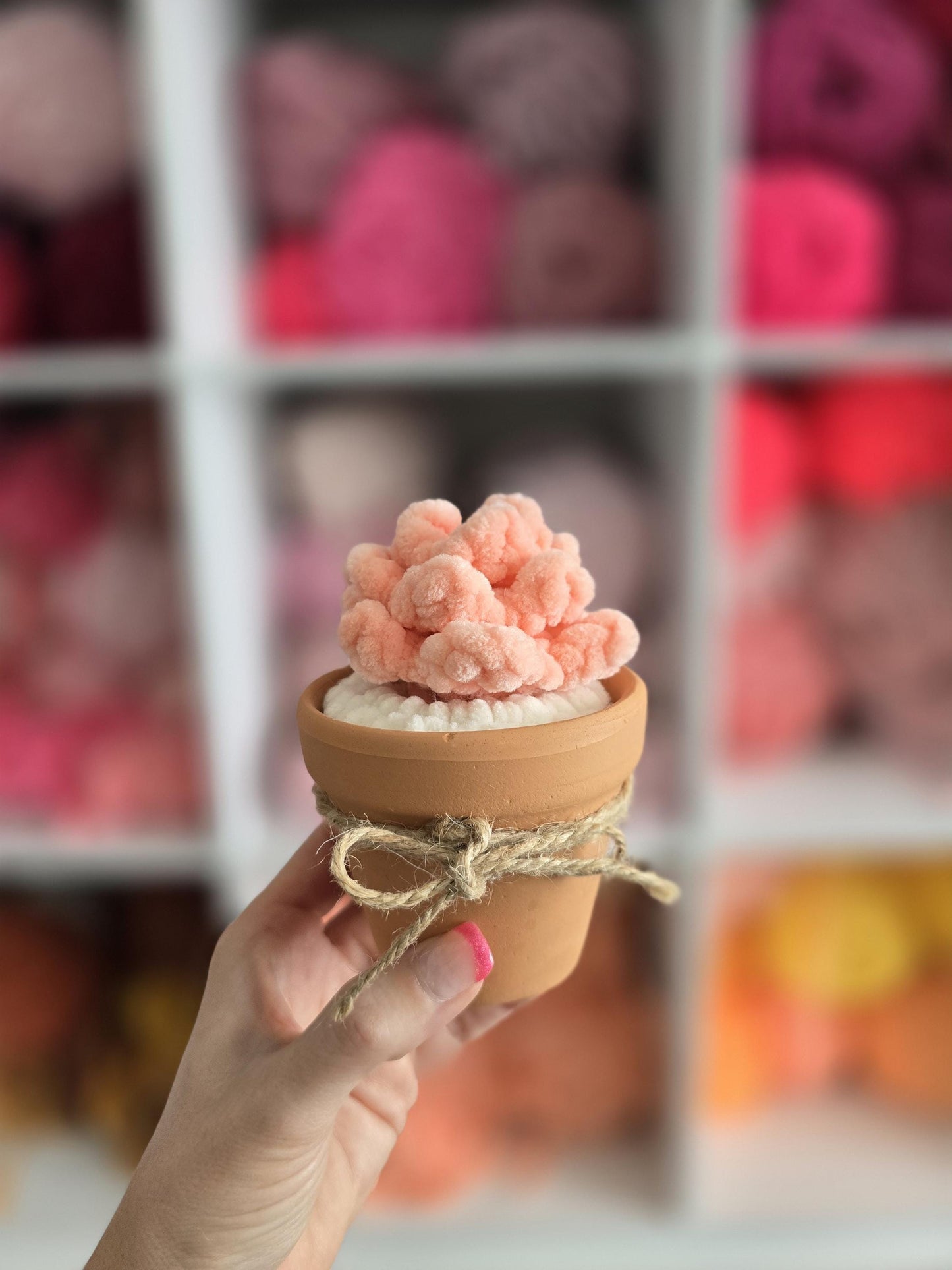 Crochet Succulent Pattern, Low Sew, Amigurumi, Cactus, PDF Download, KnotsMerryYarn