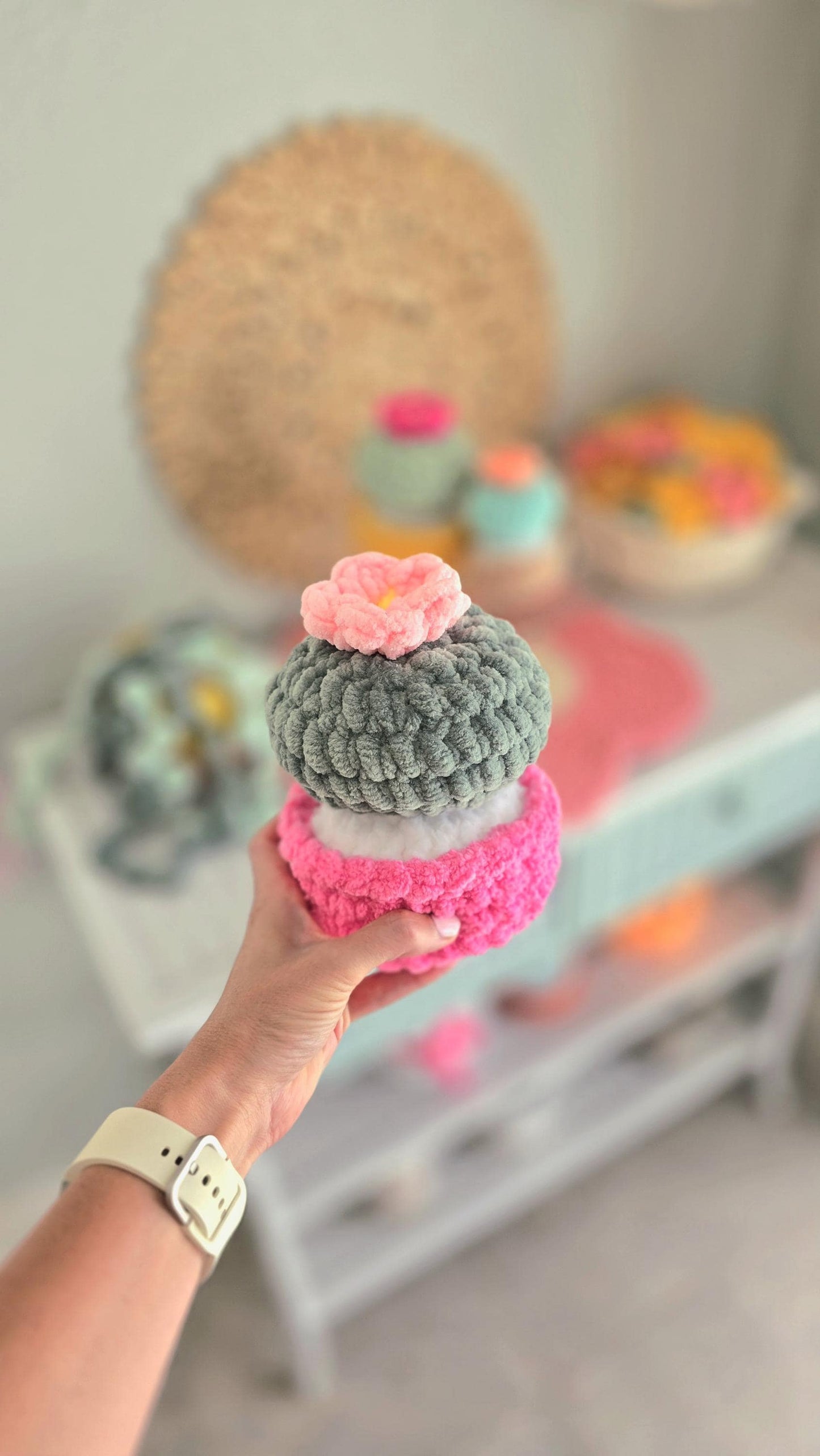 No Sew Crochet Pattern: Barrel Cactus Bundle, Succulents