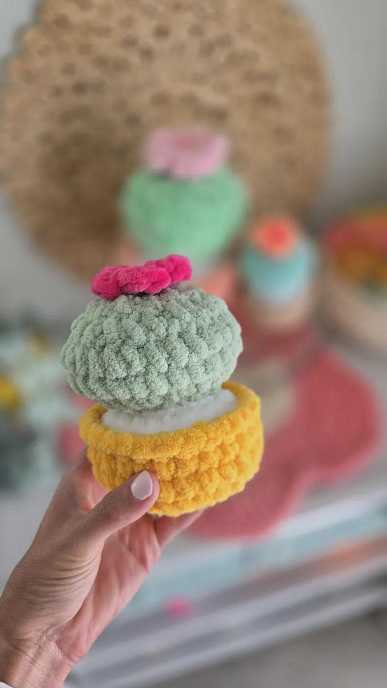 No-Sew Crochet Pattern: Cactus, Aloe Vera, Barrel Cactus and Succulents
