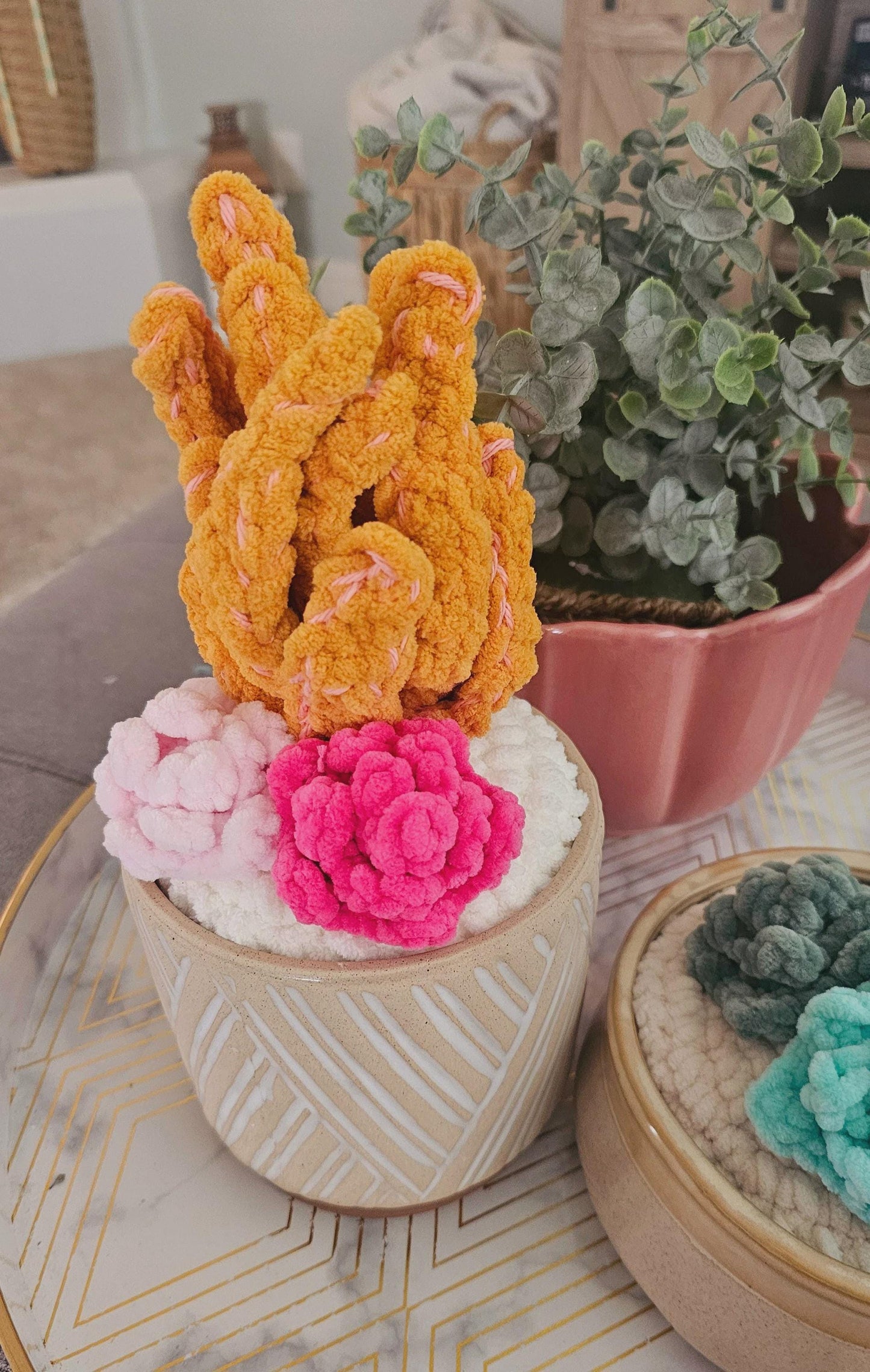 No-Sew Crochet Pattern: Cactus, Aloe Vera, Barrel Cactus and Succulents